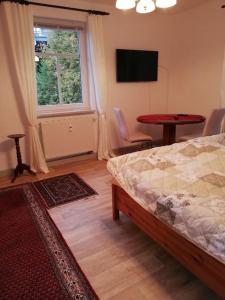 Ferienwohnung in Glashuette, bei Berggiesshuebel,