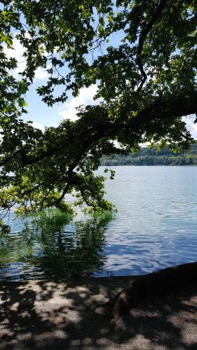 Ferienwohnung in Kempten am Stadtweiher