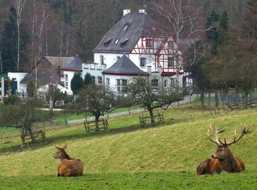 Ferienwohnung in Lahnstein am Rhein