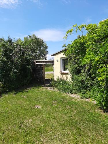 Ferienwohnung in Welzin