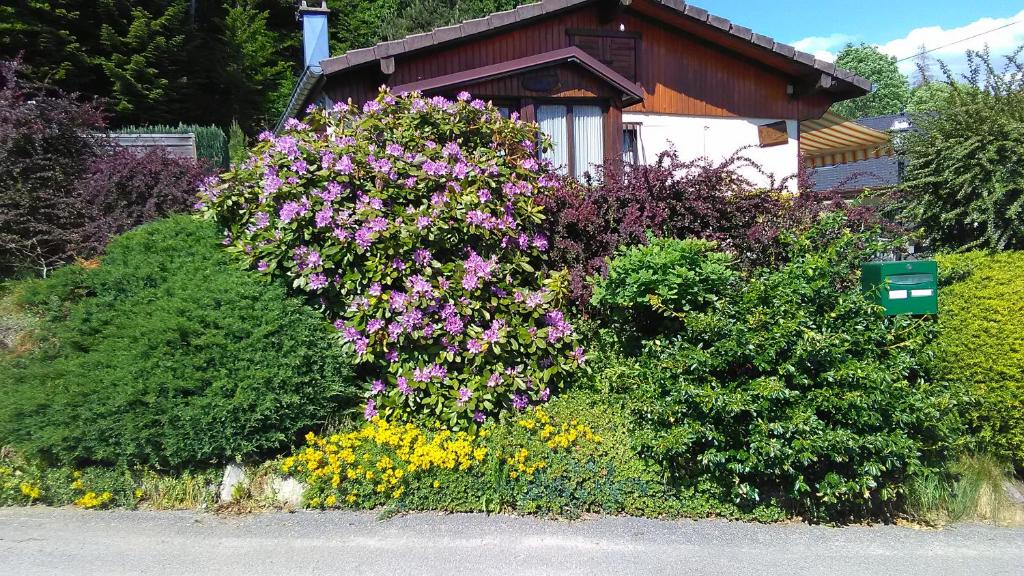 Ferienwohnung Inselblüte 14542 Werder