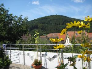 Ferienwohnung Jäckle