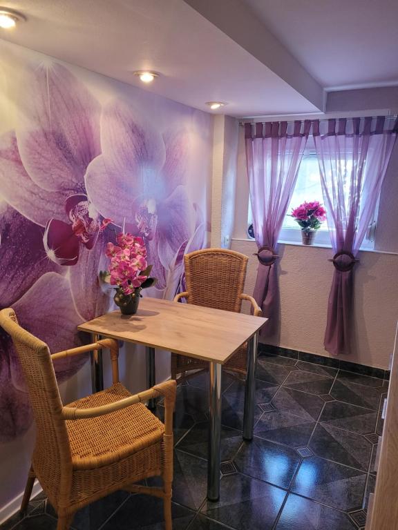 Appartement Ferienwohnung Jasmin in Schönau bei Heidelberg FEWO 4 Kellergeschoss 6 Darsberger Weg 69250 Schönau im Schwarzwald