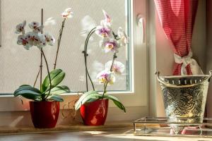 Ferienwohnung Jenzigblick