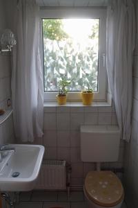 Appartement Ferienwohnung JohnnySue 2 Hauptstraße 29490 Neu Darchau Basse-Saxe