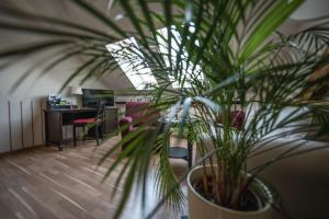 Ferienwohnung Josephine