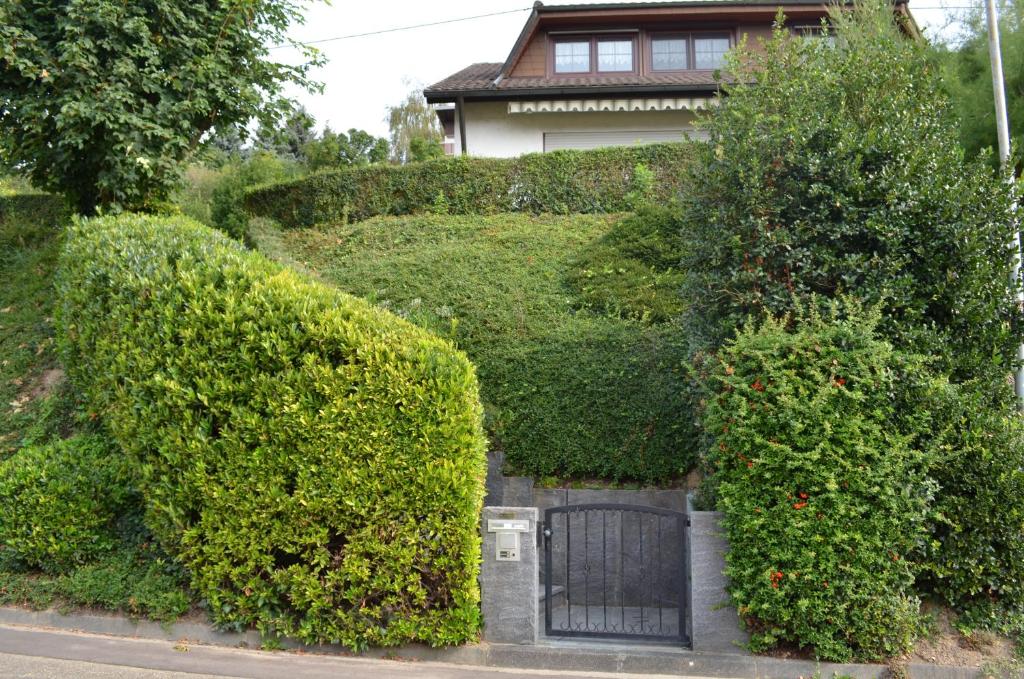 Ferienwohnung Kaiserstuhlblick An der Halde 4., 79331 Teningen
