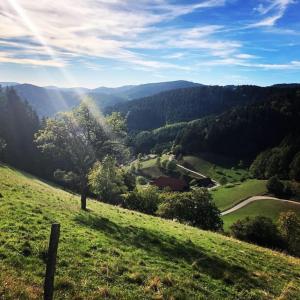 Appartement Ferienwohnung Kapellenblick mit schönem Talblick Osterbach 7 77756 Hausach Bade-Wurtemberg