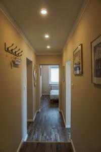 Appartement Ferienwohnung Kirchblick, für Familien, Freunde, keine Monteure 6 Marktstraße 06773 Gräfenhainichen Saxe-Anhalt