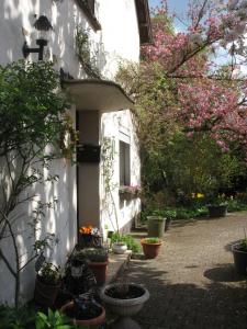 Ferienwohnung Kirschblüte