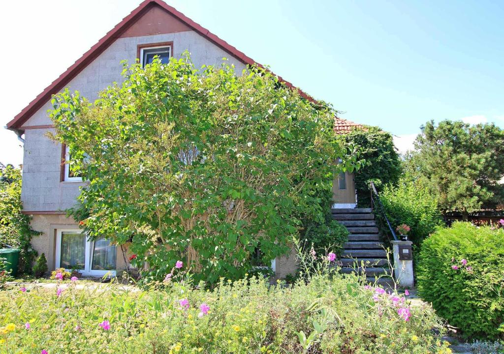 Ferienwohnung Klink SEE 9701 Müritzstraße 10, 17192 Klink