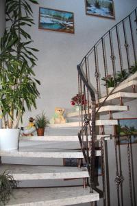 Ferienwohnung Knaub
