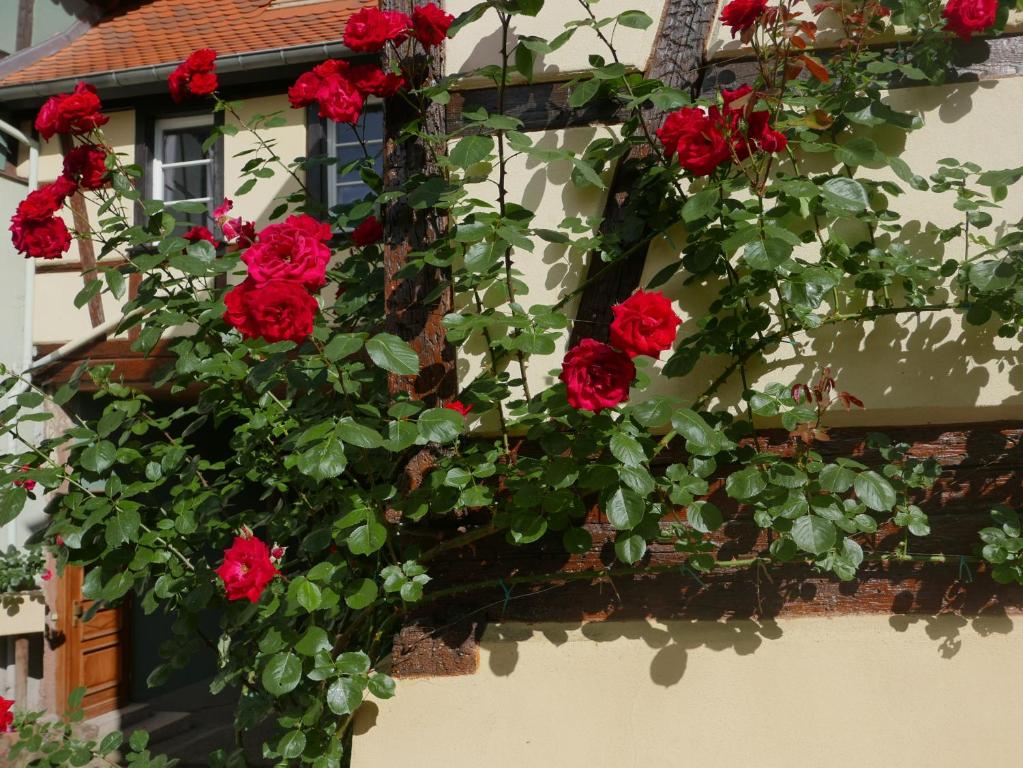 Ferienwohnung \