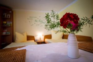 Ferienwohnung-Kopprasch