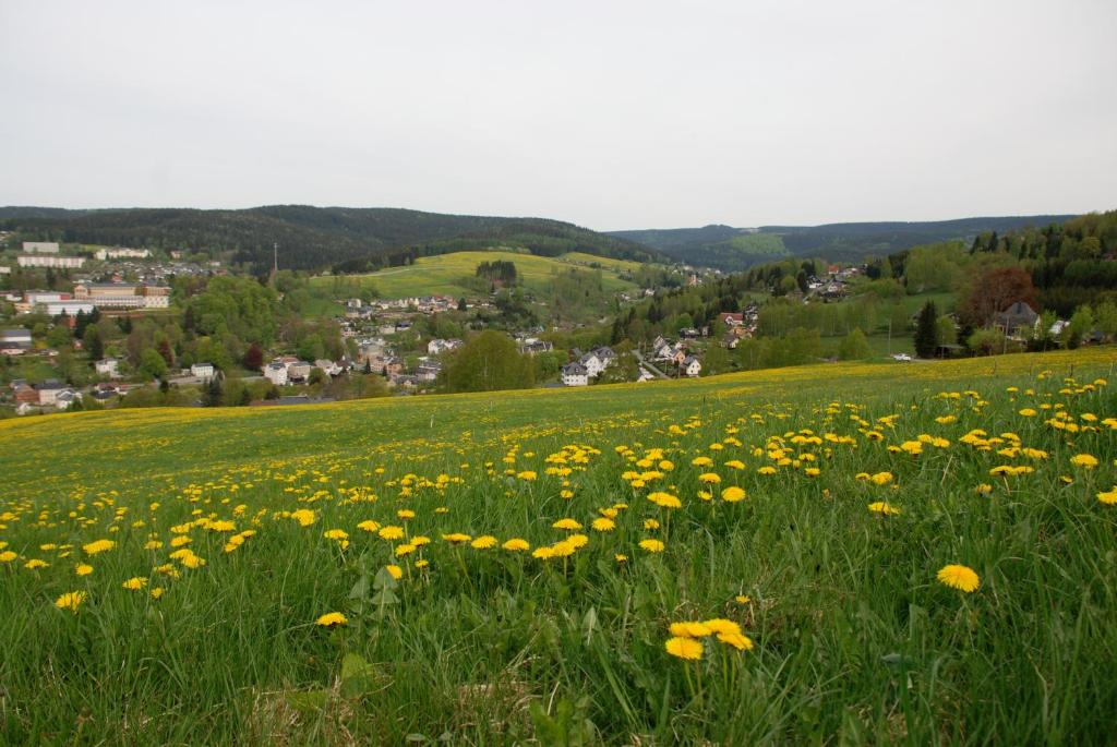 Appartement Ferienwohnung Körnerberg 2 Körnerberg bei Schmitt 08248 Klingenthal