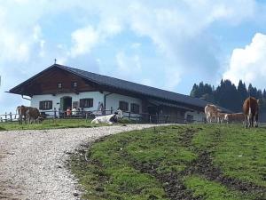 Ferienwohnung Kreuz