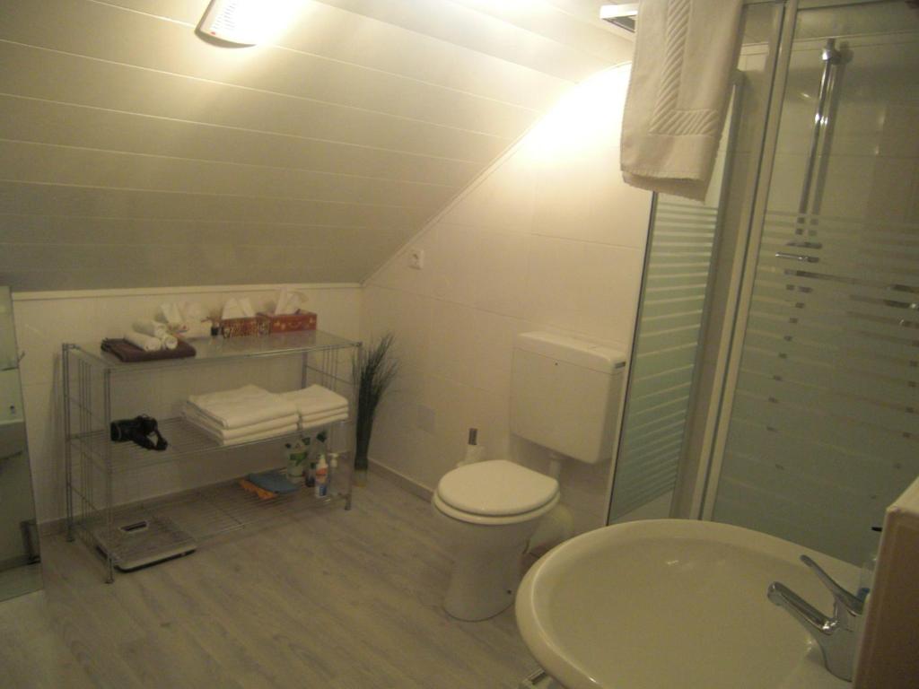 Appartement Ferienwohnung Krone Brunnenstrasse 11 78224 Überlingen am Ried