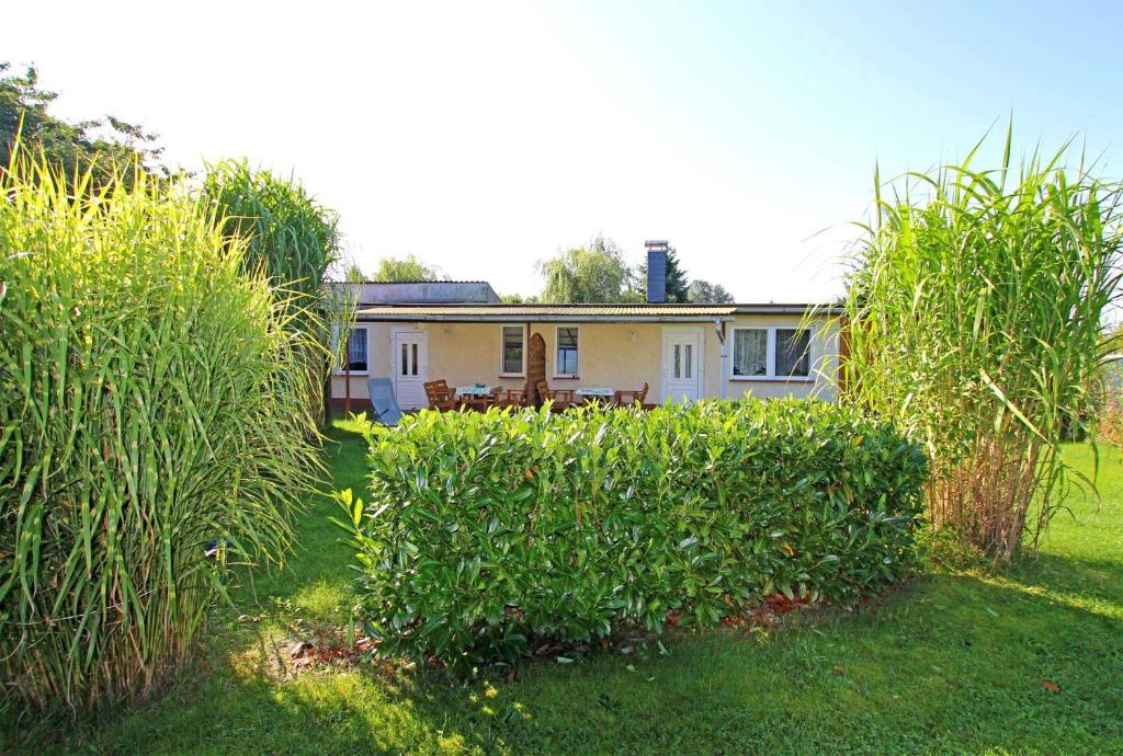 Appartement Ferienwohnung Kruemmel SEE 4222 Butendoor 9 17248 Krümmel