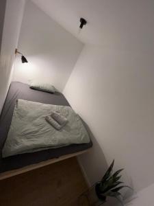 Appartement Ferienwohnung Kurpark Brilon am Rothaarsteig 6 Marsweg 59929 Brilon Rhénanie du Nord - Westphalie