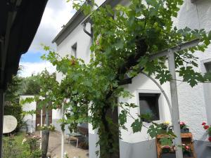 Ferienwohnung Lahnmündung