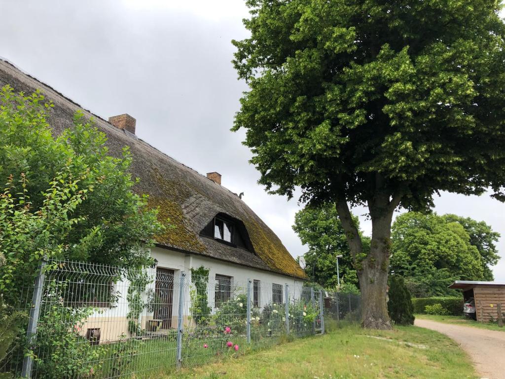 Ferienwohnung Landhaus 14 Büdnereiweg Wohnung, 1. Etage, 23992 Zurow