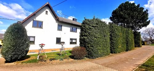 Ferienwohnung Landidylle Nassheck