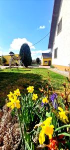 Ferienwohnung Landidylle Nassheck