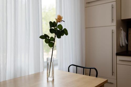 Ferienwohnung Leipzig Floßplatz