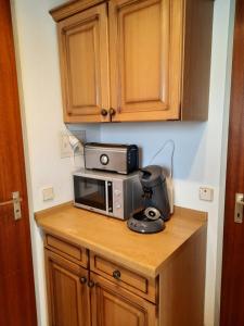 Appartement Ferienwohnung Lena Johannes-Kepler-Weg 17a 78141 Schönwald Bade-Wurtemberg