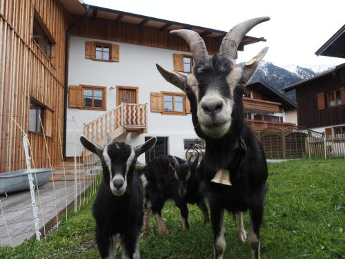 Ferienwohnung Lexar Hüs Oberstdorf