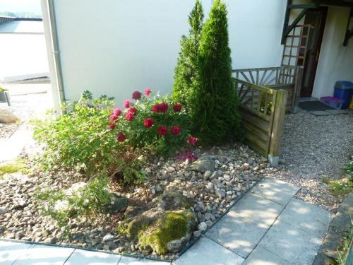 Ferienwohnung Lotti