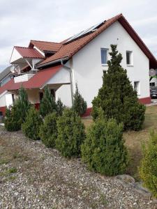 Appartement Ferienwohnung Lottstetten 6 Rosenhofweg 79807 Lottstetten Bade-Wurtemberg