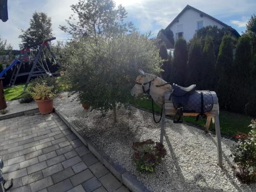 Ferienwohnung Ludwigshöhe