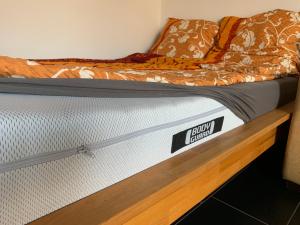 Ferienwohnung Mainz
