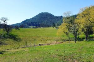 Ferienwohnung Mäuerle bis 8 Erw. Pfälzer Wald, Südwestpfalz