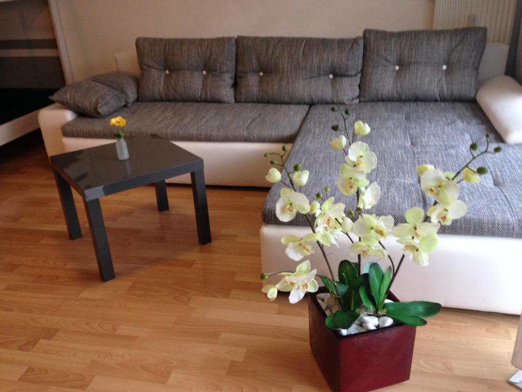 Appartement Ferienwohnung Michelle Alemannenstr 1 in 77977 Rust Hausener Str. 23 77977 Rust