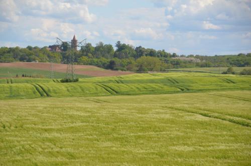 Ferienwohnung mit Blick auf die Burg Stargard