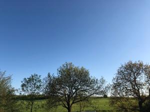 Ferienwohnung mit Blick auf die Burg Stargard