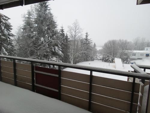 Ferienwohnung mit Blick in den Bayrischen Wald oberhalb von Sankt Engelmar