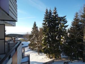 Ferienwohnung mit Blick in den Bayrischen Wald oberhalb von Sankt Engelmar