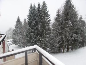 Ferienwohnung mit Blick in den Bayrischen Wald oberhalb von Sankt Engelmar