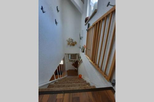 Ferienwohnung mit Elbwiesenblick