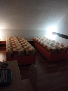 Ferienwohnung mit Elbwiesenblick