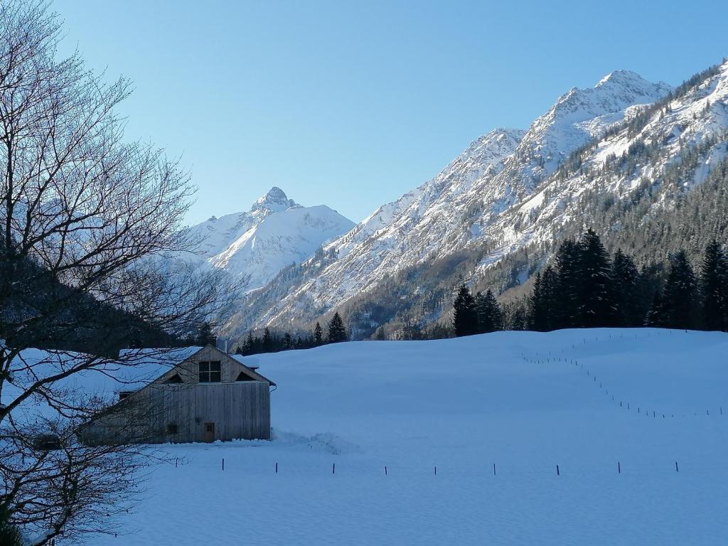 Appartement Ferienwohnung mit Loggia Dietersberg 8a 87561 Oberstdorf