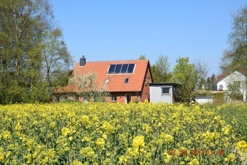 Ferienwohnung mit Tiny House 10 Eckernforder Landstrasse, 24991 Freienwill