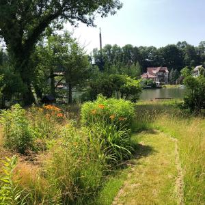 Appartement Ferienwohnung mit Wasserzugang Vogelgesangstraße 17279 Lychen Brandebourg