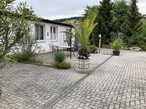 Ferienwohnung Mitko