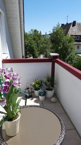 Ferienwohnung Mittl