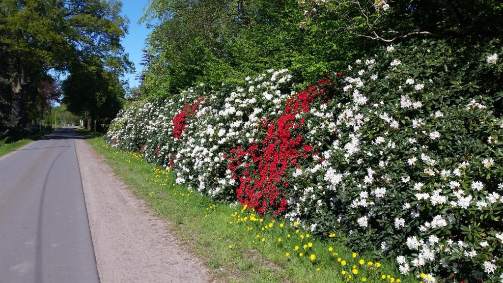 Ferienwohnung Morgensonne 12 Langer Weg, 26655 Westerstede