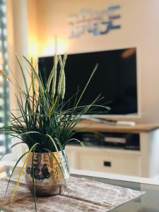 Ferienwohnung Möwennest N°4
